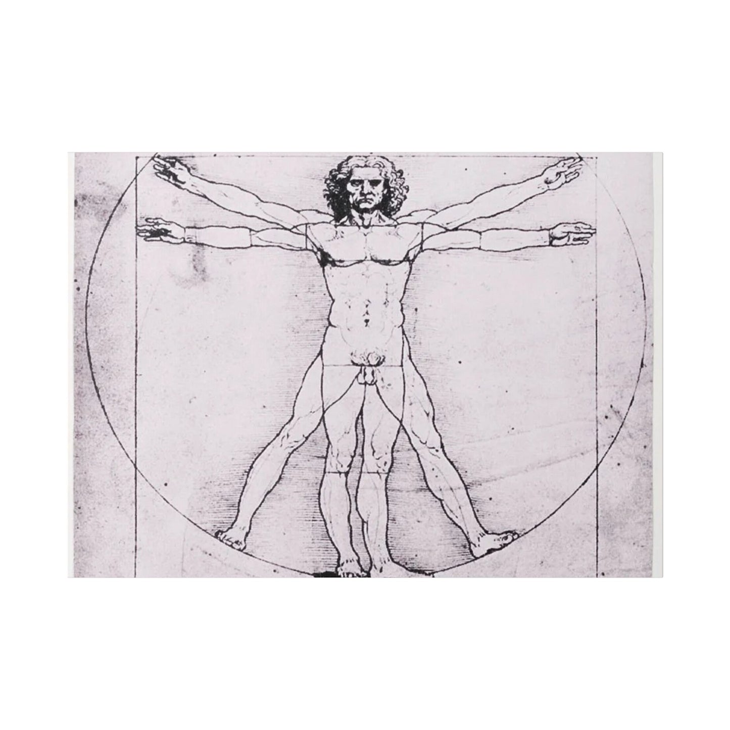 Leonardo da Vinci "Vitruvian Man"