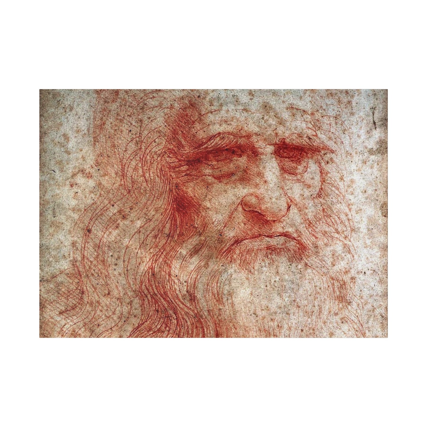 Leonardo da Vinci "Portrait of a Man in Red Chalk"