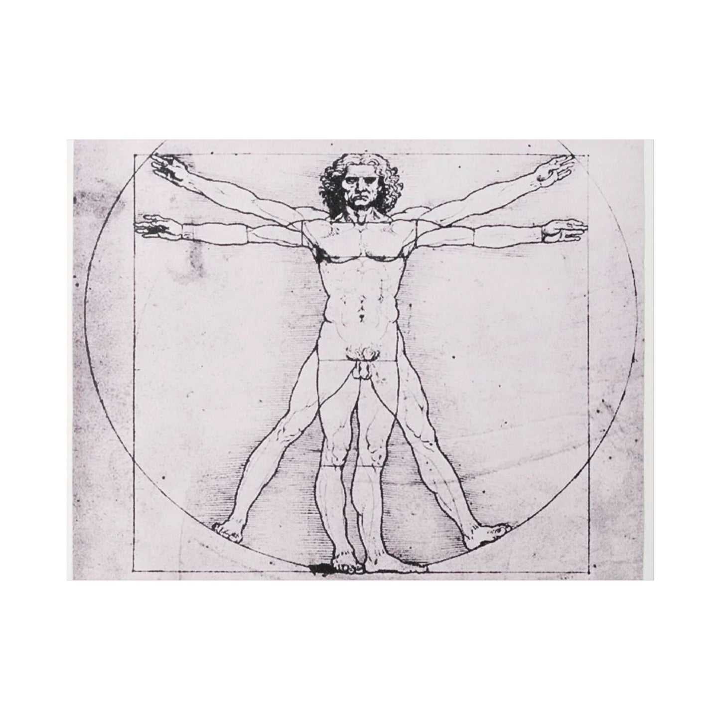 Leonardo da Vinci "Vitruvian Man"