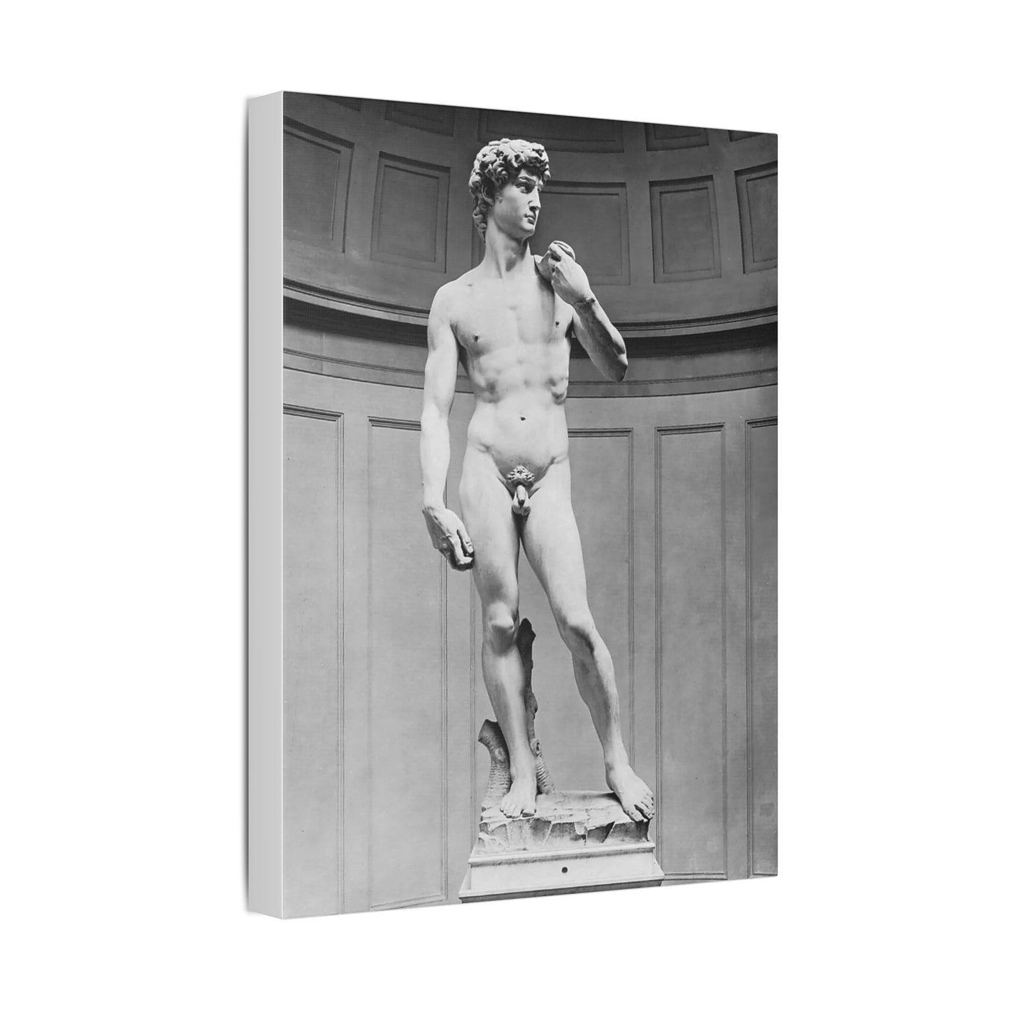 Michelangelo "Statue of David"