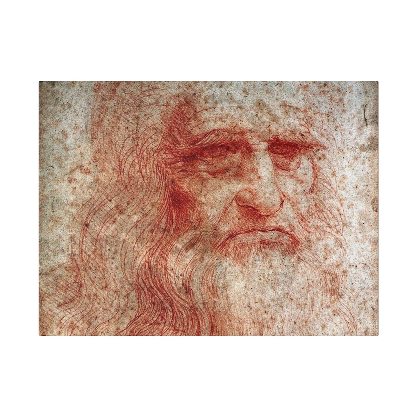 Leonardo da Vinci "Portrait of a Man in Red Chalk"