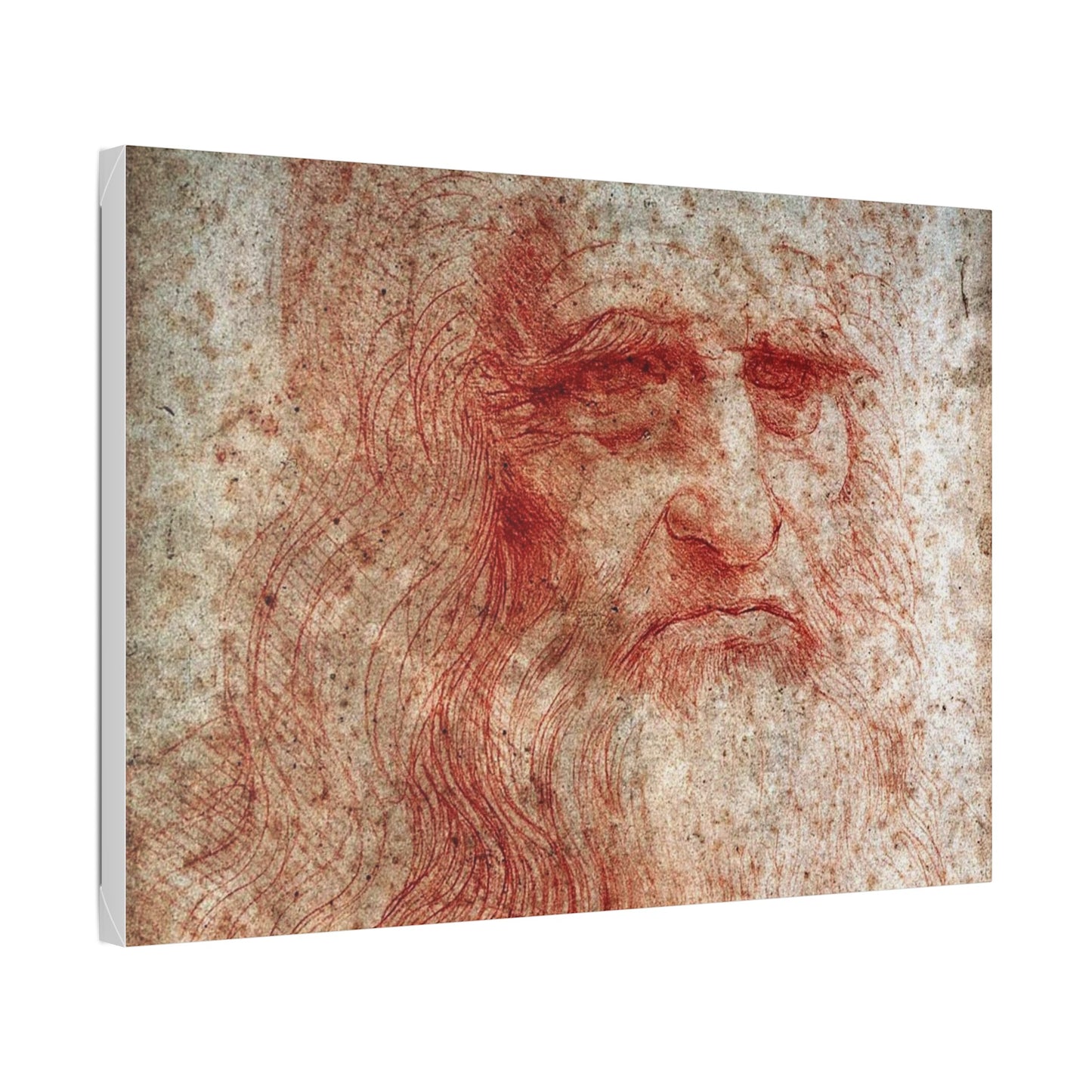 Leonardo da Vinci "Portrait of a Man in Red Chalk"