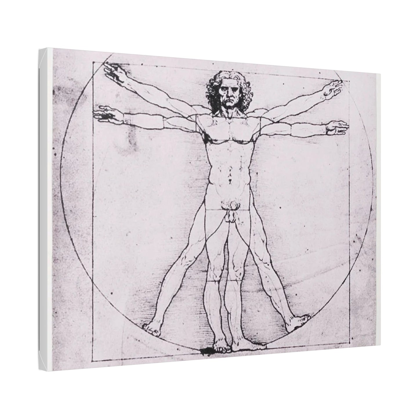 Leonardo da Vinci "Vitruvian Man"