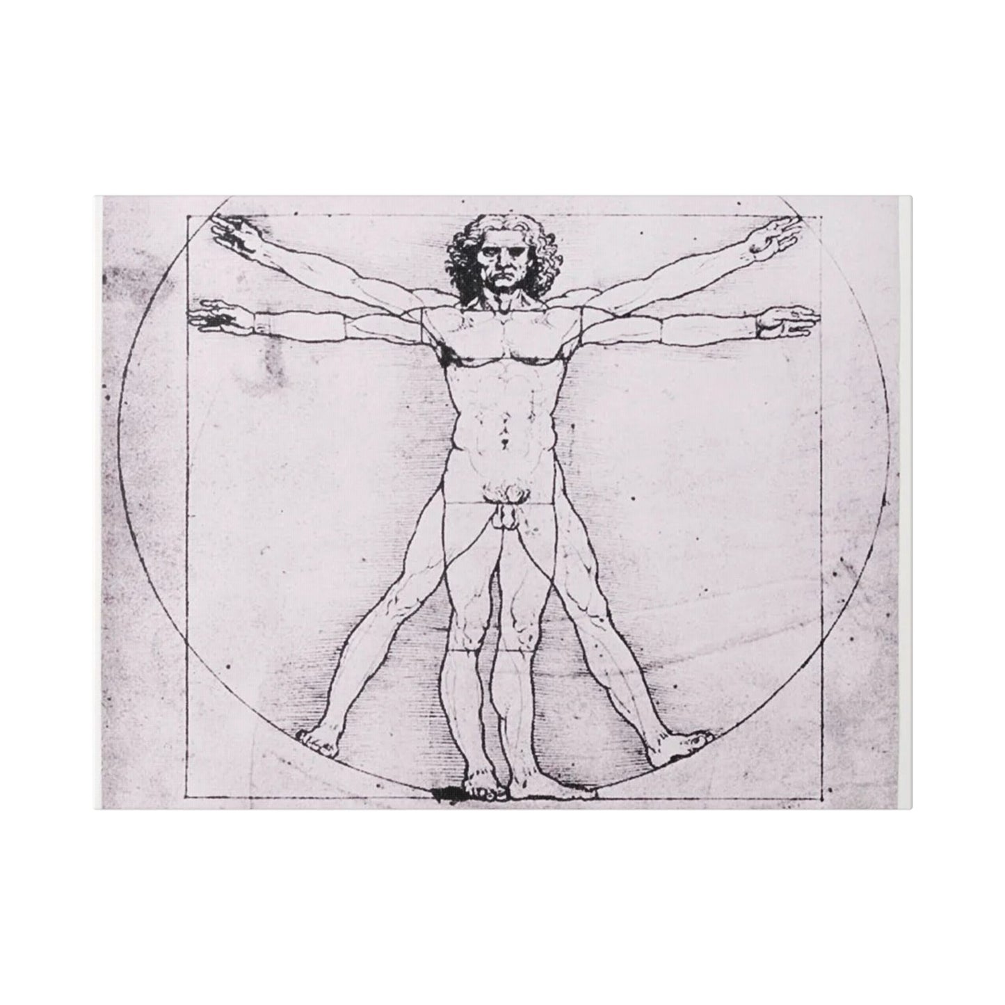 Leonardo da Vinci "Vitruvian Man"