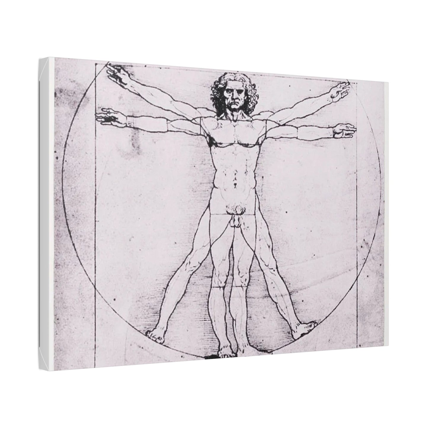 Leonardo da Vinci "Vitruvian Man"