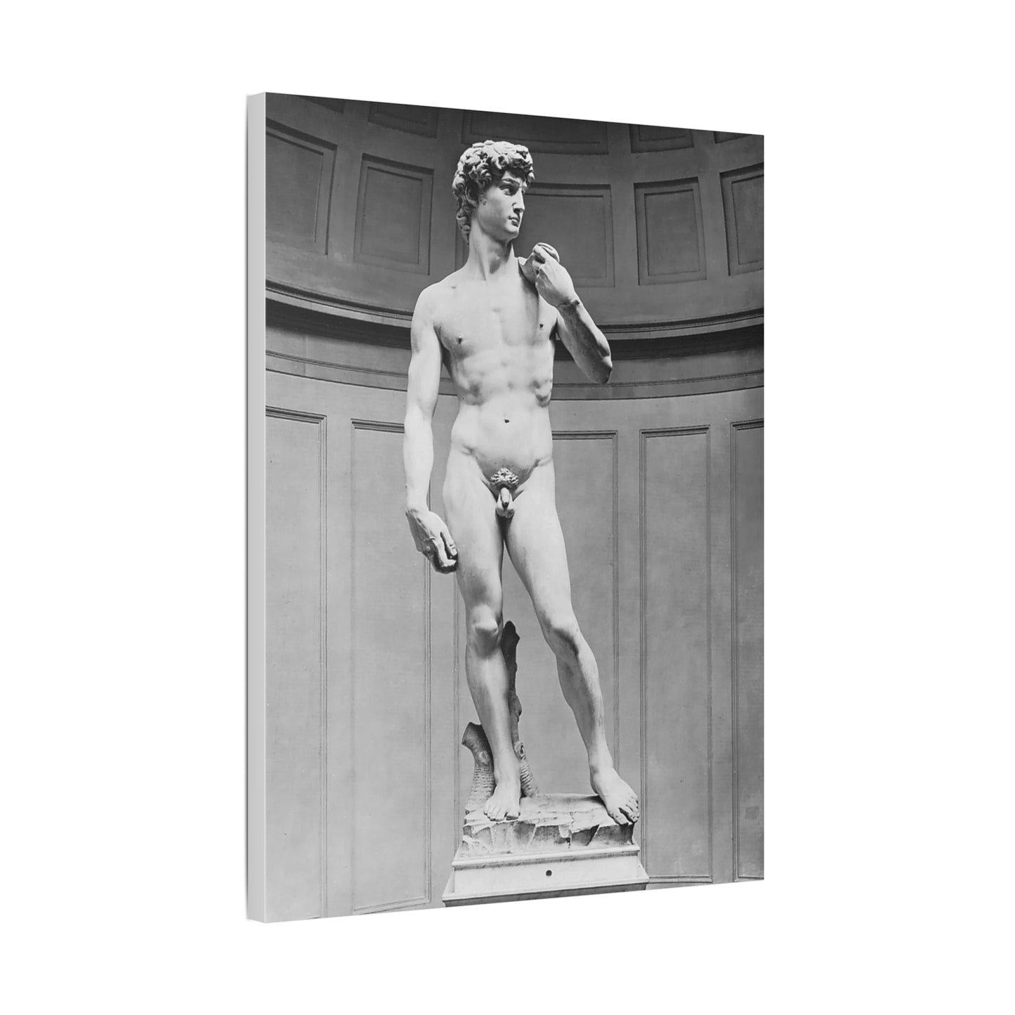 Michelangelo "Statue of David"