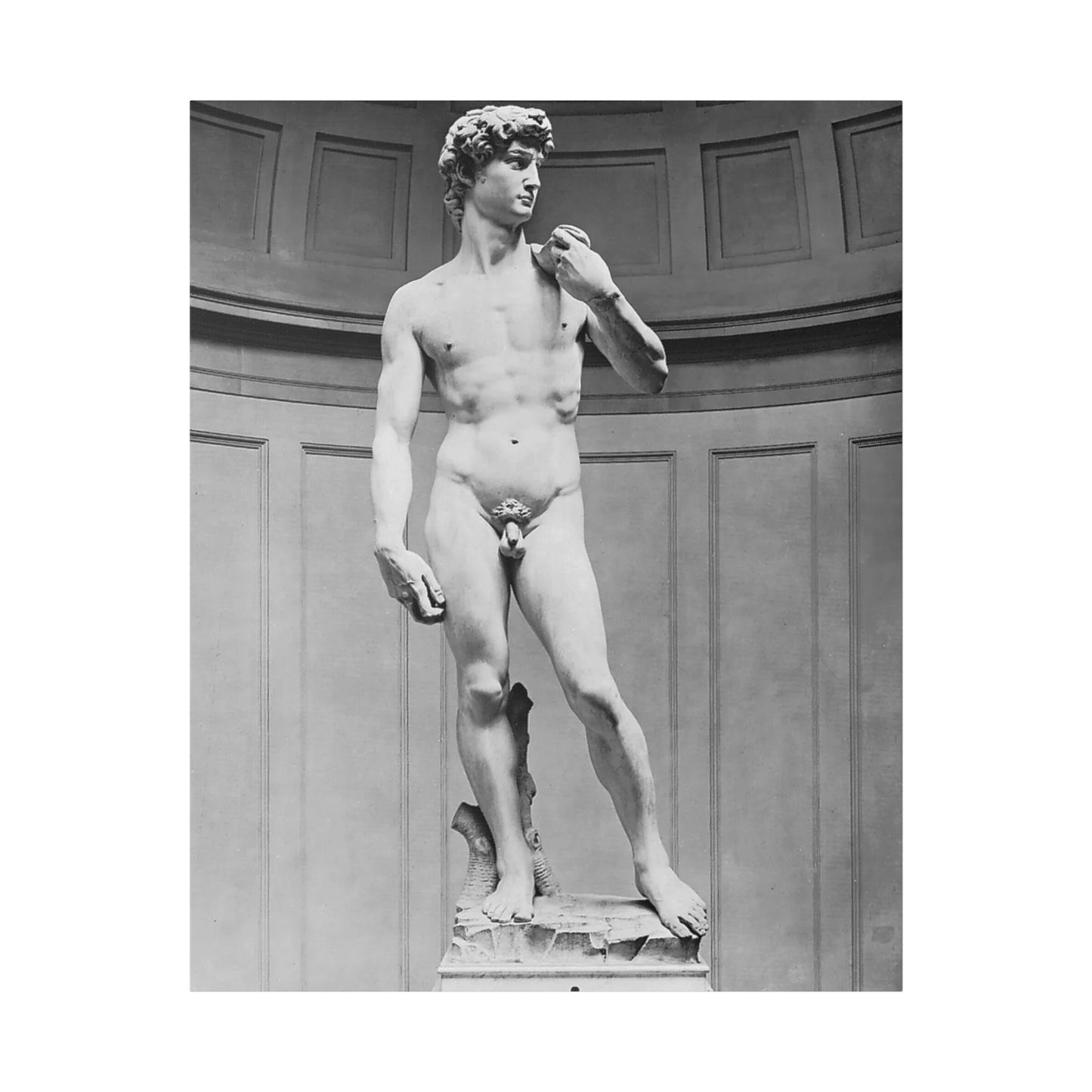 Michelangelo "Statue of David"