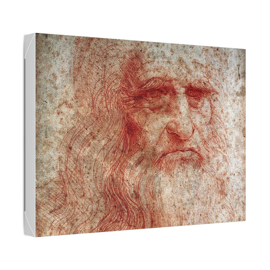 Leonardo da Vinci "Portrait of a Man in Red Chalk"