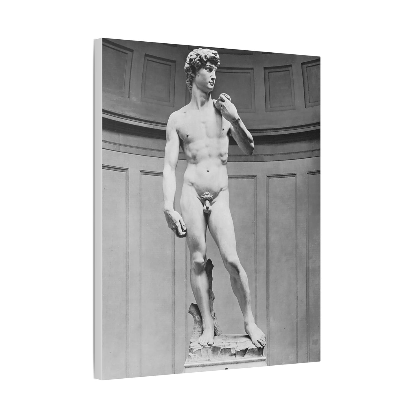 Michelangelo "Statue of David"