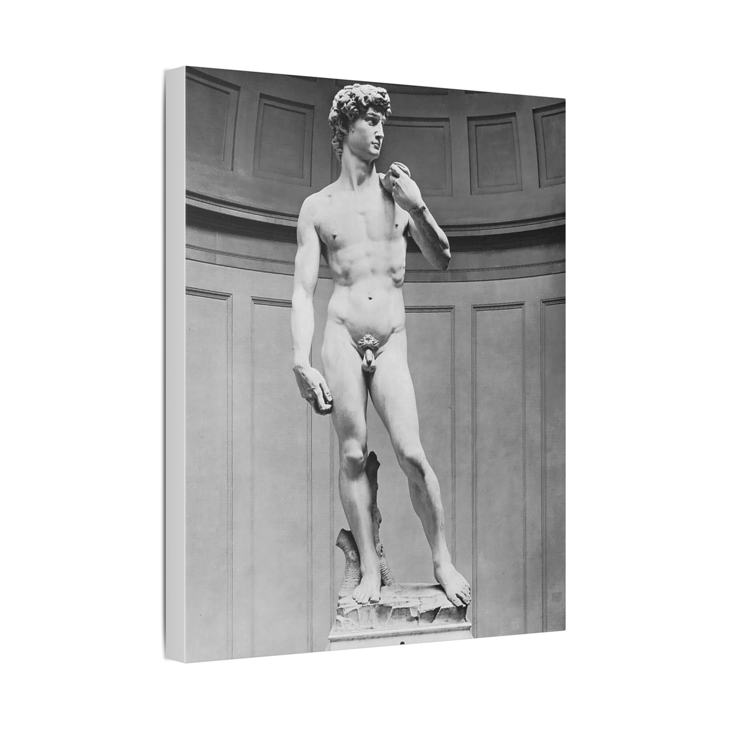 Michelangelo "Statue of David"