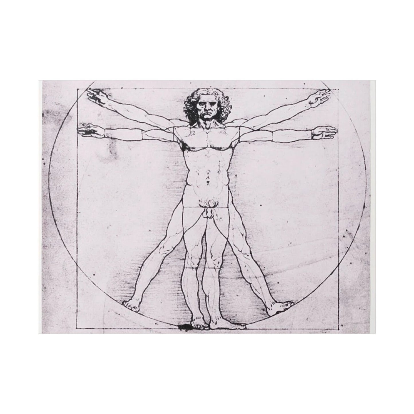 Leonardo da Vinci "Vitruvian Man"