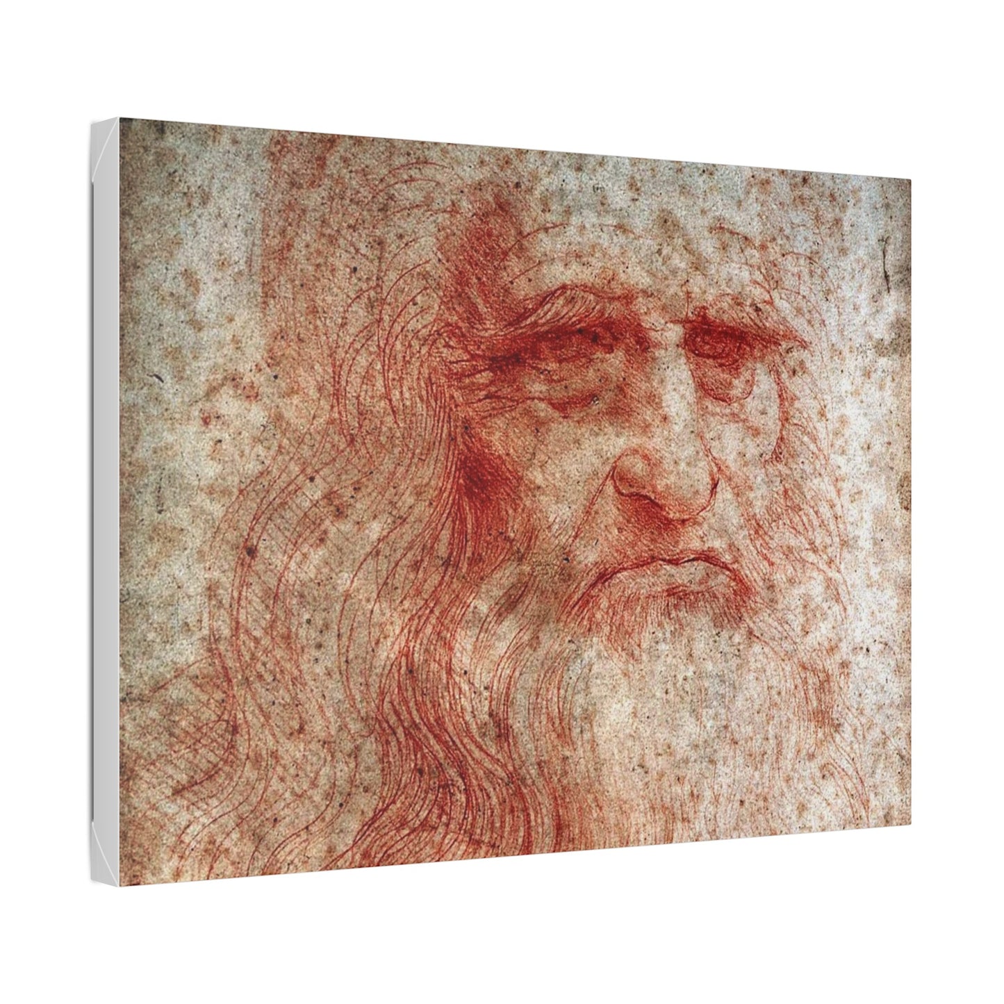 Leonardo da Vinci "Portrait of a Man in Red Chalk"