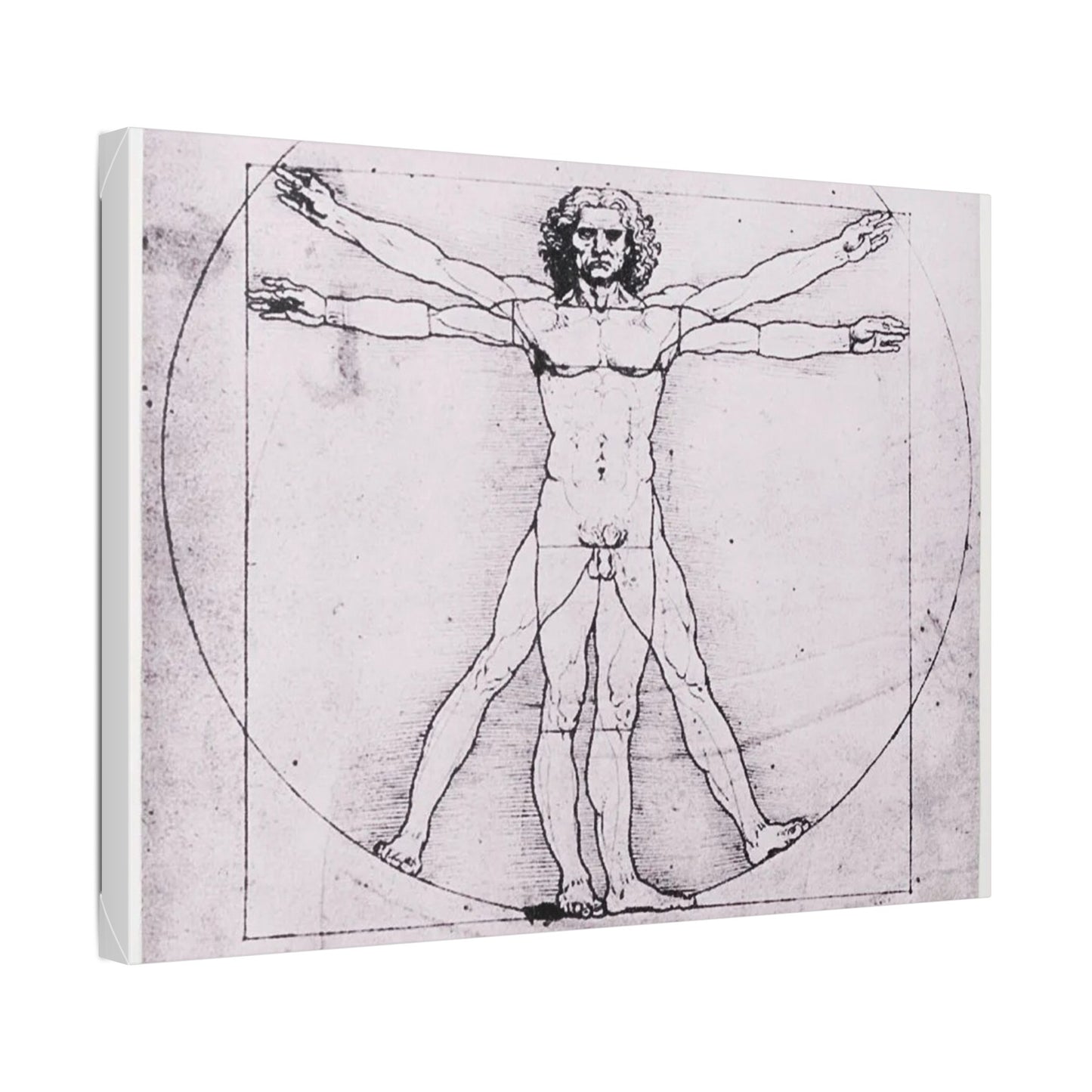 Leonardo da Vinci "Vitruvian Man"